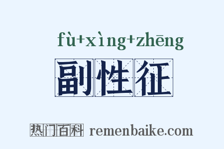 副性征是什么意思的图片